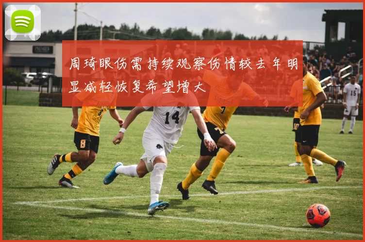 周琦眼伤需持续观察伤情较去年明显减轻恢复希望增大