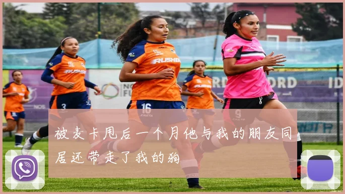 被麦卡甩后一个月他与我的朋友同居还带走了我的狗