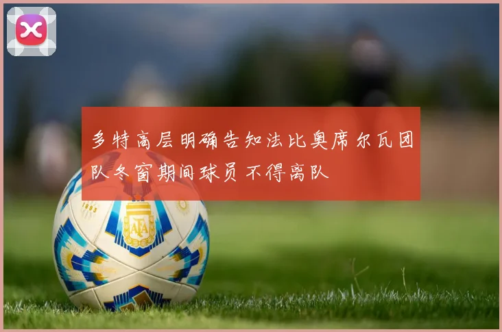 多特高层明确告知法比奥席尔瓦团队冬窗期间球员不得离队