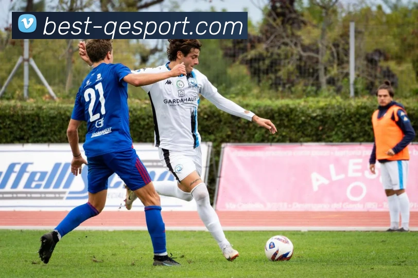 企鹅体育平台生态图